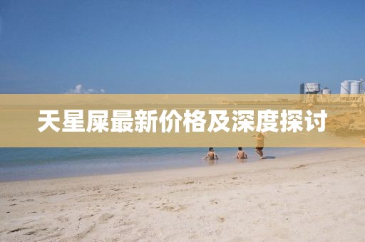 天星屎最新价格及深度探讨