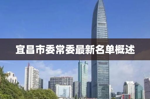 宜昌市委常委最新名单概述