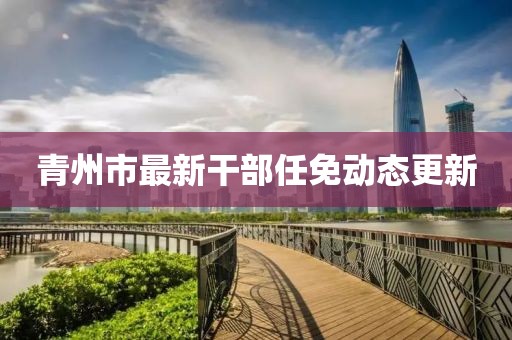 青州市最新干部任免动态更新