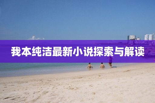 我本纯洁最新小说探索与解读