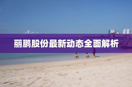 丽鹏股份最新动态全面解析