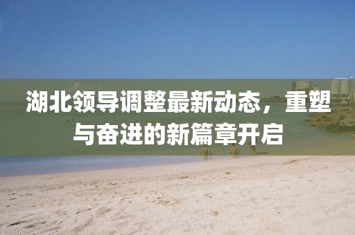 湖北领导调整最新动态，重塑与奋进的新篇章开启