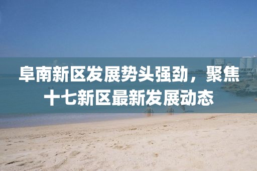 阜南新区发展势头强劲，聚焦十七新区最新发展动态