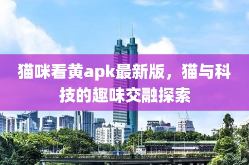 猫咪看黄apk最新版，猫与科技的趣味交融探索