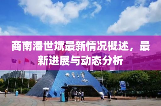 商南潘世斌最新情况概述，最新进展与动态分析