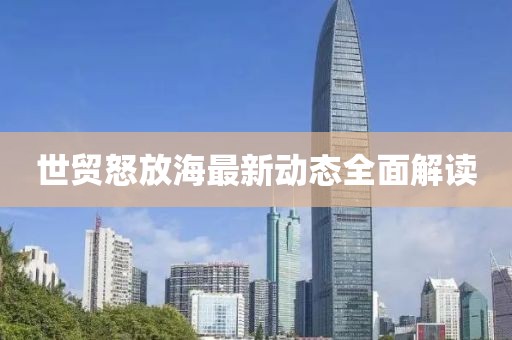 世贸怒放海最新动态全面解读
