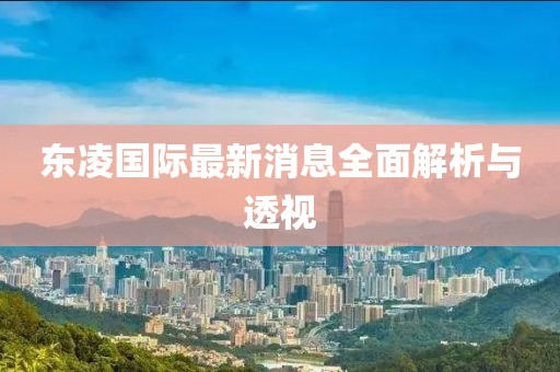 东凌国际最新消息全面解析与透视