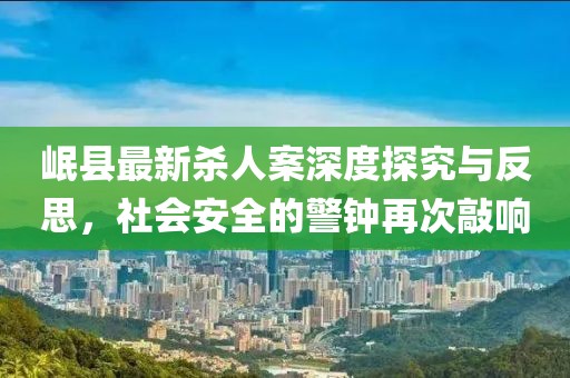 岷县最新杀人案深度探究与反思，社会安全的警钟再次敲响