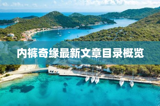内裤奇缘最新文章目录概览