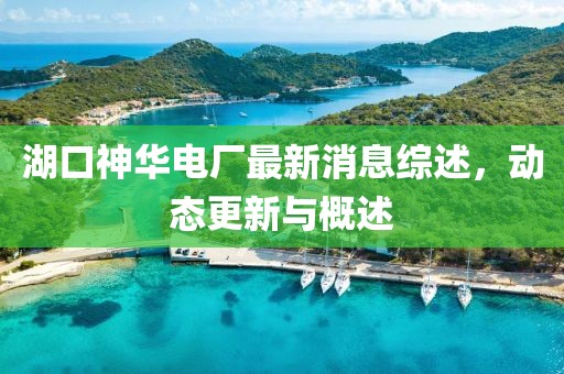 湖口神华电厂最新消息综述，动态更新与概述