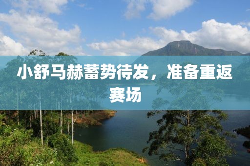 小舒马赫蓄势待发，准备重返赛场