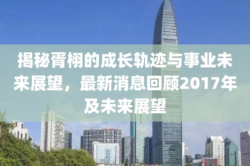 揭秘胥栩的成长轨迹与事业未来展望，最新消息回顾2017年及未来展望