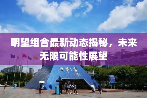 明望组合最新动态揭秘，未来无限可能性展望