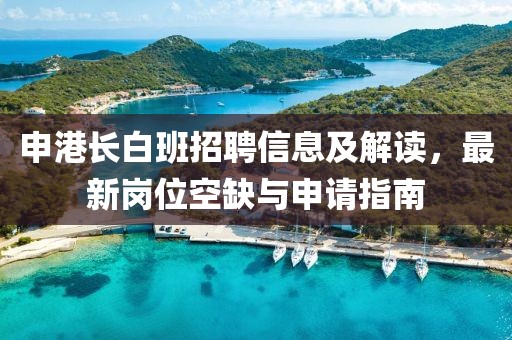 申港长白班招聘信息及解读，最新岗位空缺与申请指南