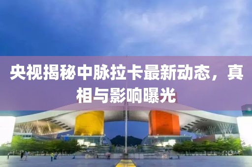 央视揭秘中脉拉卡最新动态，真相与影响曝光