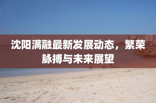 沈阳满融最新发展动态，繁荣脉搏与未来展望