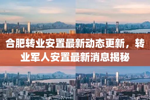 合肥转业安置最新动态更新，转业军人安置最新消息揭秘