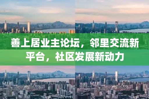 善上居业主论坛，邻里交流新平台，社区发展新动力
