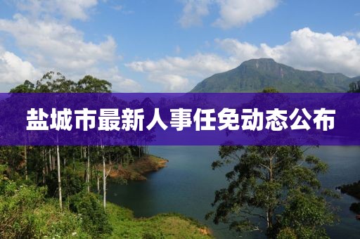 盐城市最新人事任免动态公布