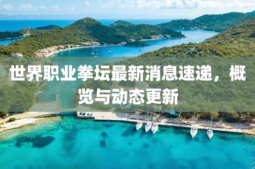 酒几许 第7页