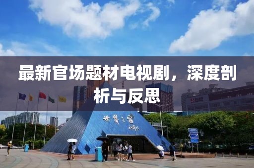 最新官场题材电视剧，深度剖析与反思