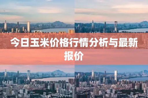 今日玉米价格行情分析与最新报价
