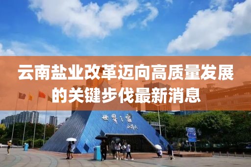 云南盐业改革迈向高质量发展的关键步伐最新消息