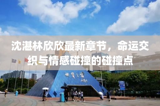 沈湛林欣欣最新章节，命运交织与情感碰撞的碰撞点