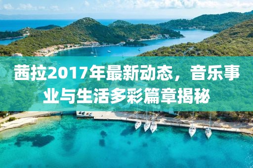 茜拉2017年最新动态，音乐事业与生活多彩篇章揭秘