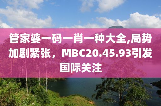 管家婆一码一肖一种大全,局势加剧紧张，MBC20.45.93引发国际关注