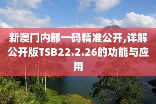 新澳门内部一码精准公开,详解公开版TSB22.2.26的功能与应用
