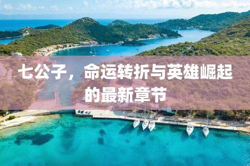 七公子，命运转折与英雄崛起的最新章节