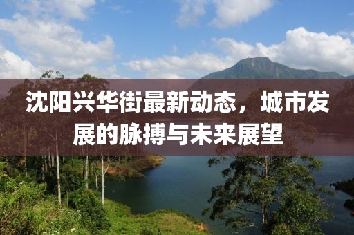 沈阳兴华街最新动态，城市发展的脉搏与未来展望