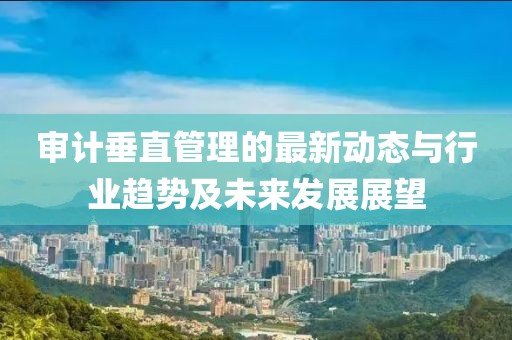 审计垂直管理的最新动态与行业趋势及未来发展展望