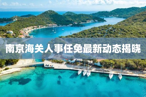 南京海关人事任免最新动态揭晓
