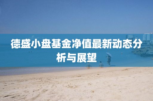 德盛小盘基金净值最新动态分析与展望
