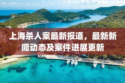 上海杀人案最新报道，最新新闻动态及案件进展更新