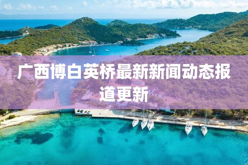 广西博白英桥最新新闻动态报道更新