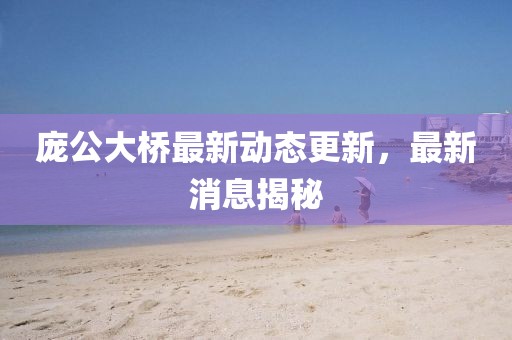 庞公大桥最新动态更新，最新消息揭秘