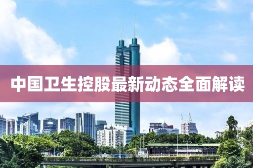 中国卫生控股最新动态全面解读