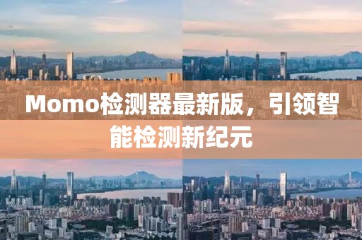 Momo检测器最新版，引领智能检测新纪元