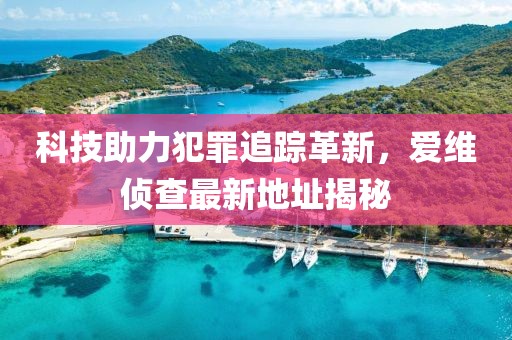 科技助力犯罪追踪革新，爱维侦查最新地址揭秘
