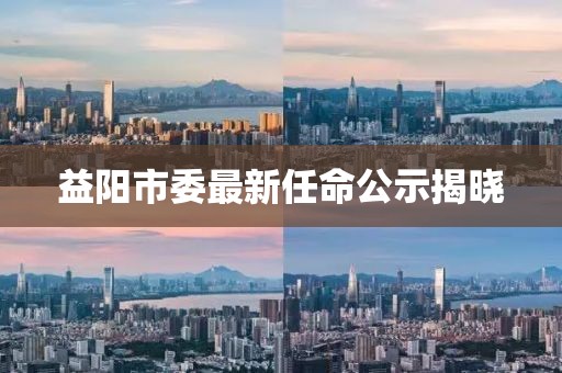 益阳市委最新任命公示揭晓