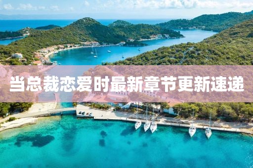 当总裁恋爱时最新章节更新速递