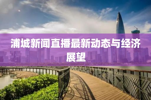 浦城新闻直播最新动态与经济展望