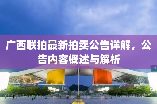 广西联拍最新拍卖公告详解，公告内容概述与解析