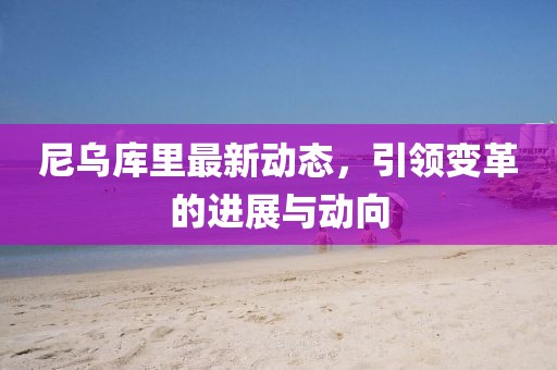 尼乌库里最新动态，引领变革的进展与动向