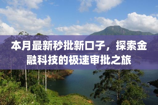本月最新秒批新口子，探索金融科技的极速审批之旅