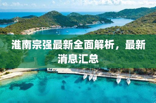 淮南宗强最新全面解析，最新消息汇总
