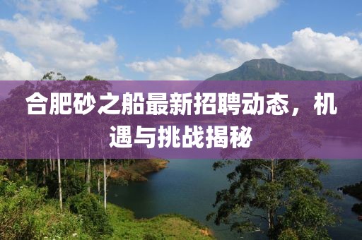 合肥砂之船最新招聘动态，机遇与挑战揭秘